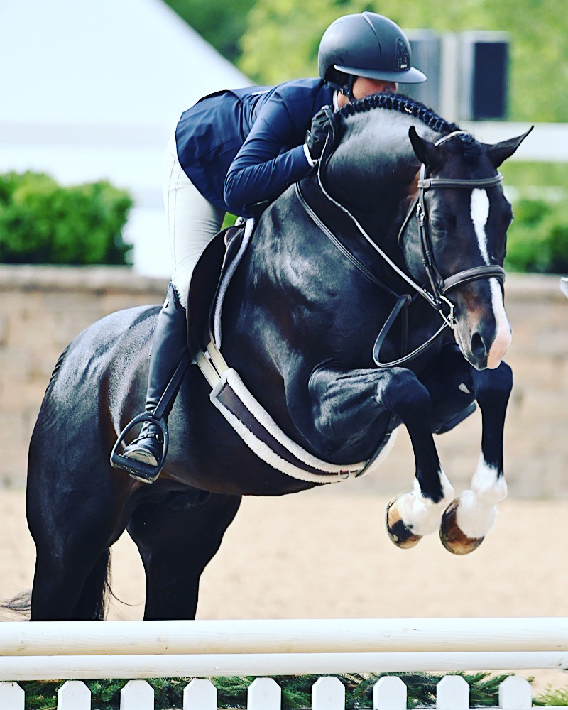 Stallion Services